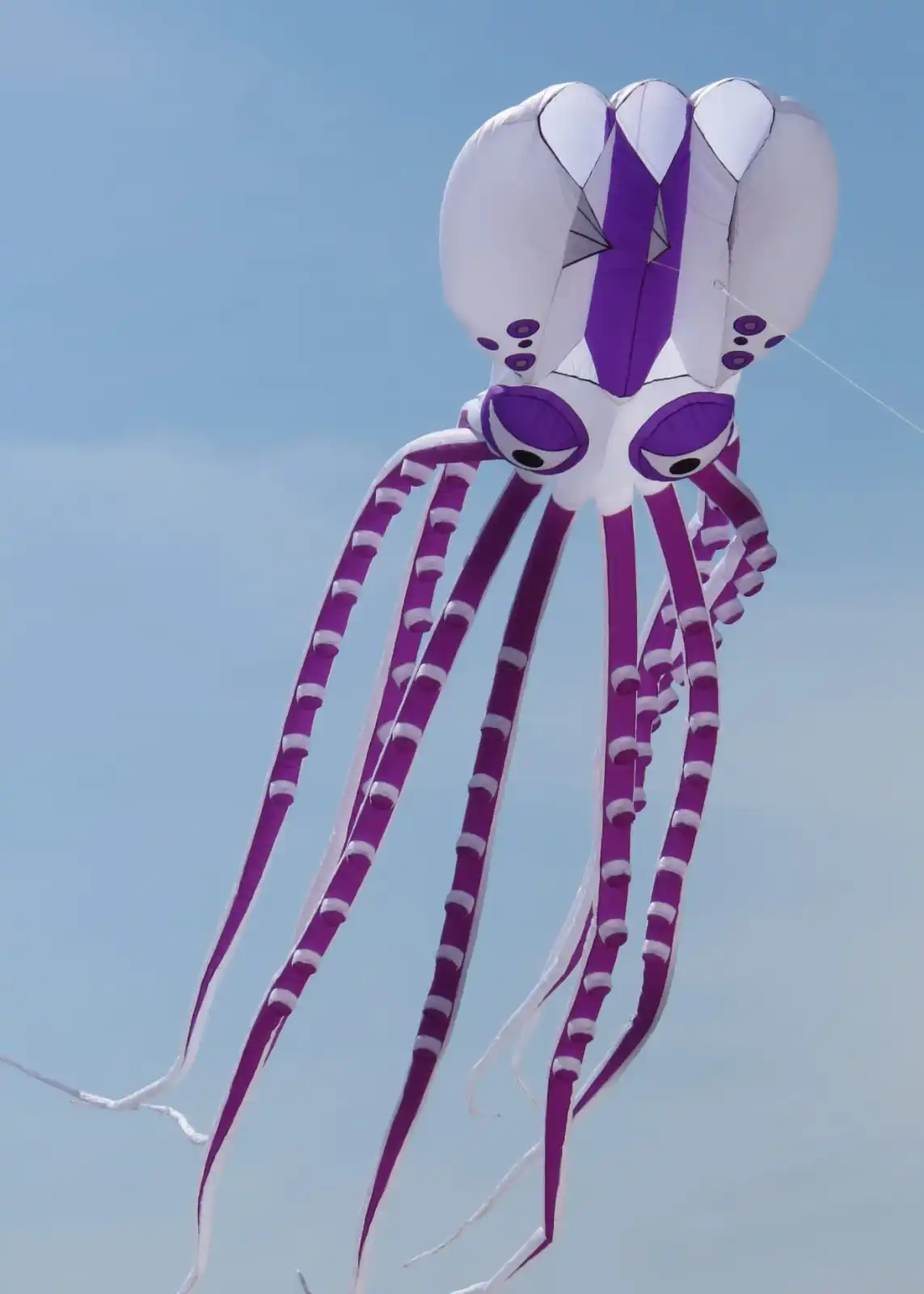 18m LED soft octopus big inflatable kite flying kites with lights for adult with battery and remote control - Image 3
