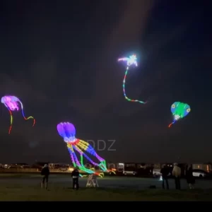 LED tadpole 8 square MLS brand lifter kite pilot flat tail show kite 30D Ripstop Nylon inflatable with remote control DDDZ
