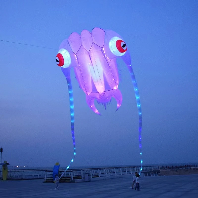 Led trilobites kite for adults kite string line windsurfing papalote outdoor toys sport professional kite koi carp toy sports - Image 2