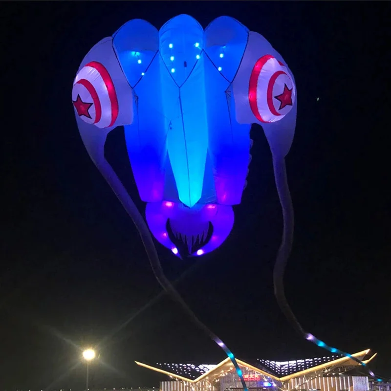 Led trilobites kite for adults kite string line windsurfing papalote outdoor toys sport professional kite koi carp toy sports