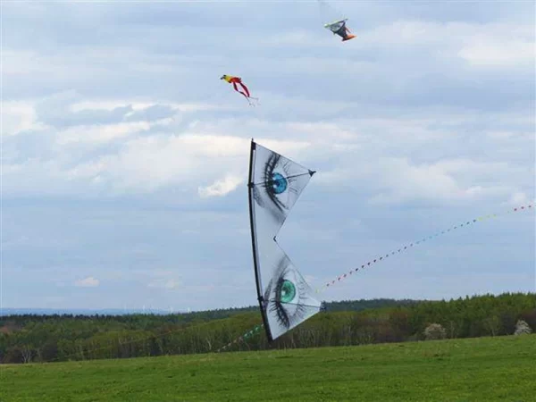 Quad line stunt kites flying for adults outdoor toys professional kite Power kite acrobatic comet tent pole wind Steering wheel - Image 4